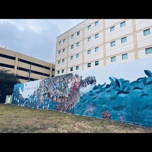 Meet your Posher, Ava